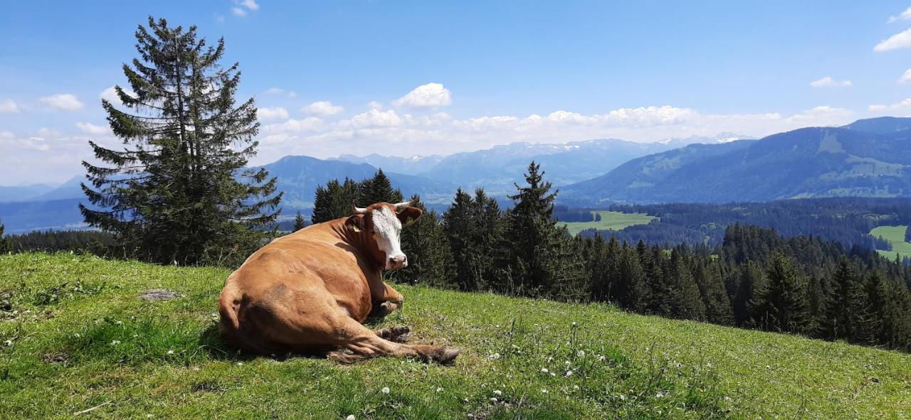Ferienwohnung Boeck, Wengen Im Allgaeu Weitnau ภายนอก รูปภาพ